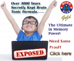 Brain food that Improve Your Memory
