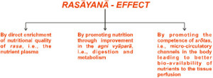 The three dimensional effect of rasayana
