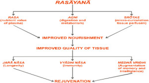The rejuvenation channel of Rasayana effect