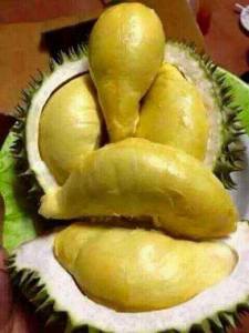 durian1