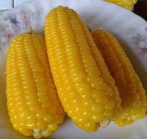 sweetcorn1